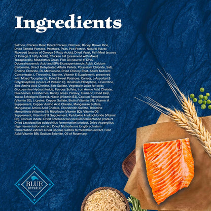 Huisheng Global Salmon & Wholesome Grains Senior Dry Dog Food 4.5lb （2 pack）